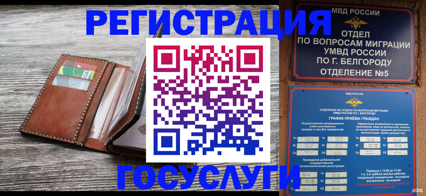 временная регистрация гарантия в Майкопе